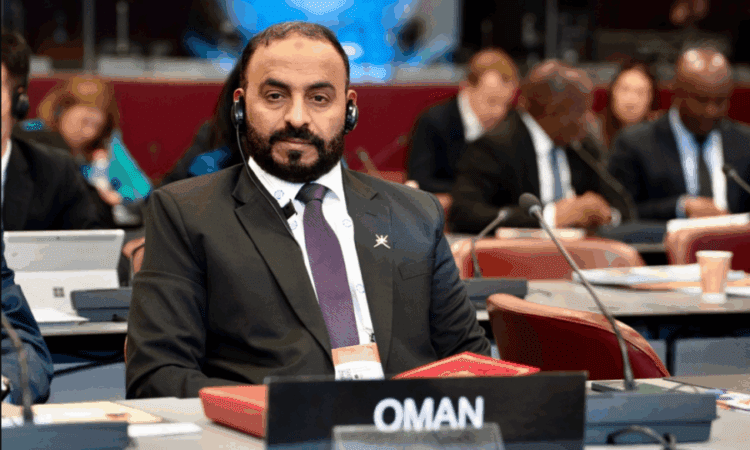 مجلس الدولة