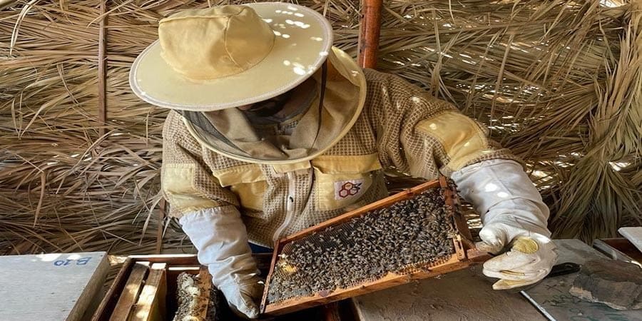 تعبيرية