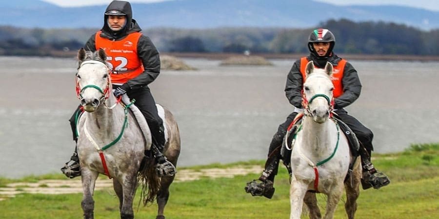 سباق سلوفاكيا للقدرة والتحمل