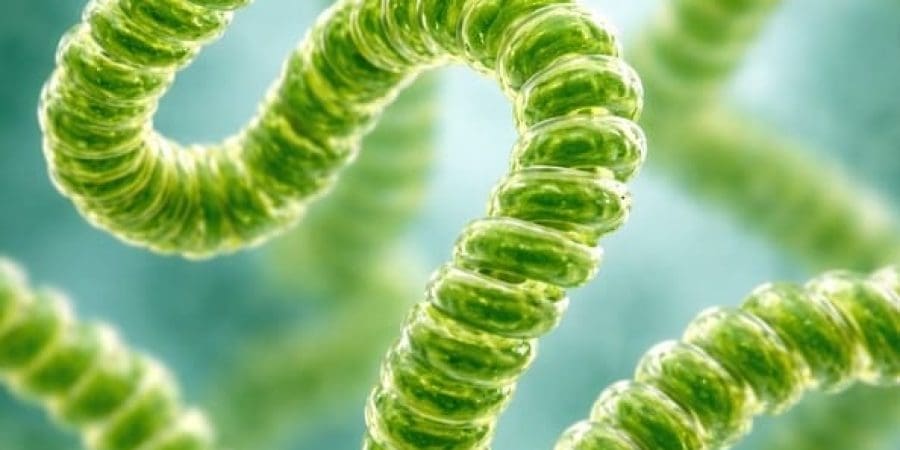 ويعكس هذا الإنجاز تطور البحث العلمي والابتكار نحو دعم التوجهات الوطنية للاقتصاد المعرفي والمستدام