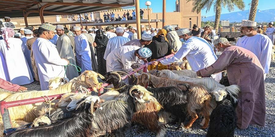 تعبيرية