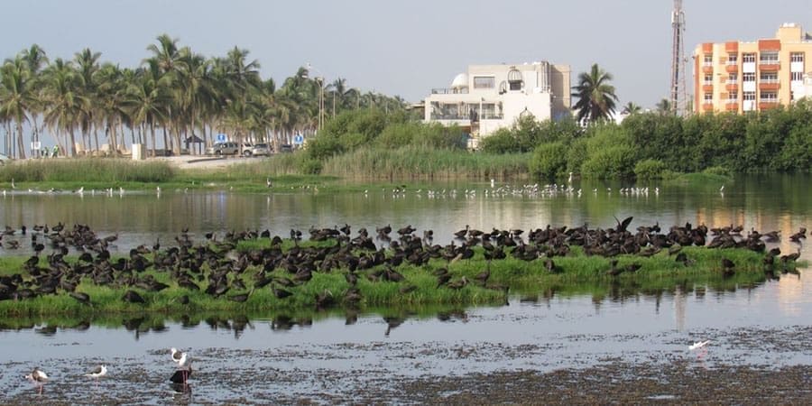 تعبيرية
