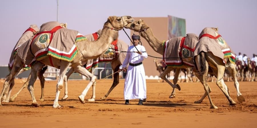 جانب من مشاركة الهجانة السُّلطانية في مهرجان الملك عبد العزيز للإبل