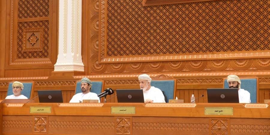 مجلس الدولة