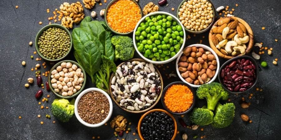 اللحوم النباتية ـ تعبيرية