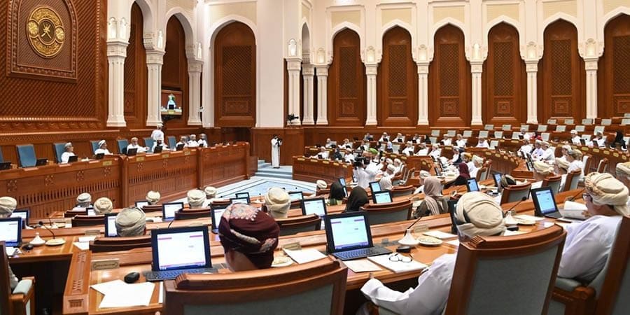 مجلس الدولة