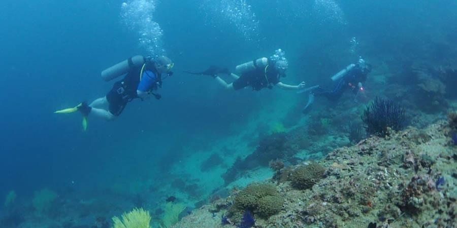 مركز استكشاف مسندم للغوص