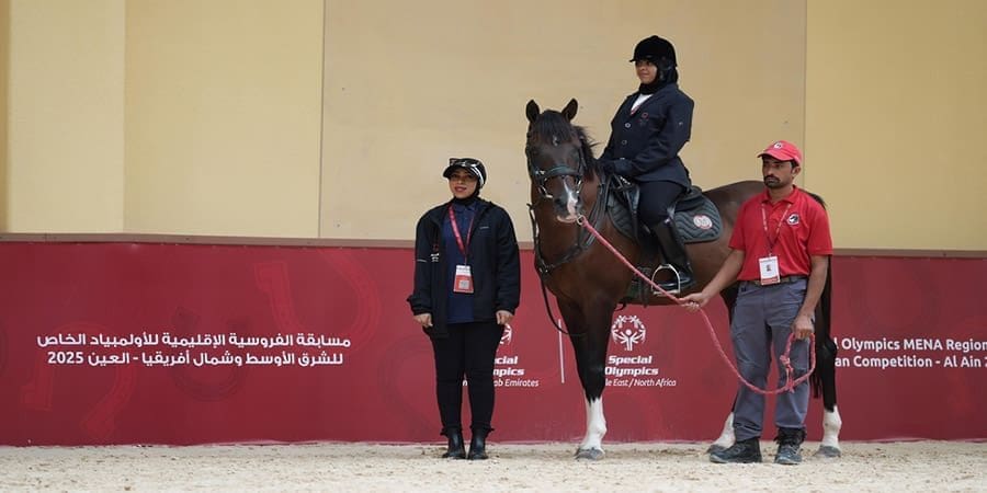 مدينة العين
