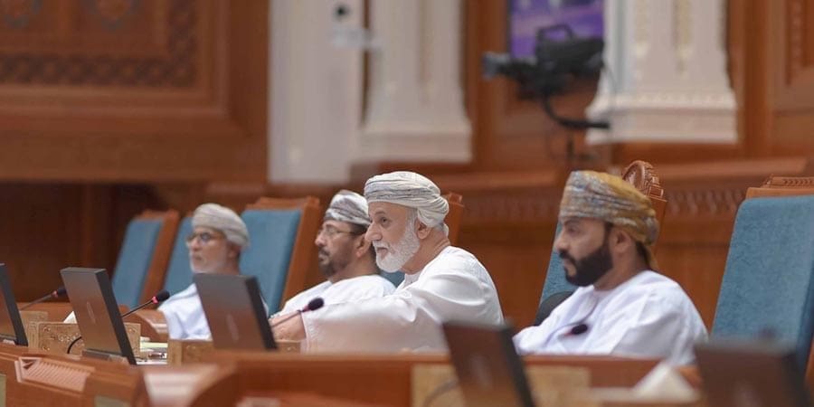 مجلس الدولة