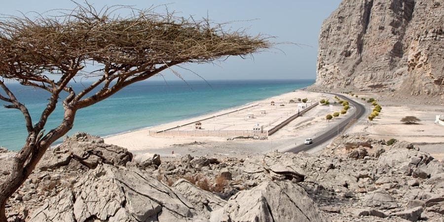 تعبيرية