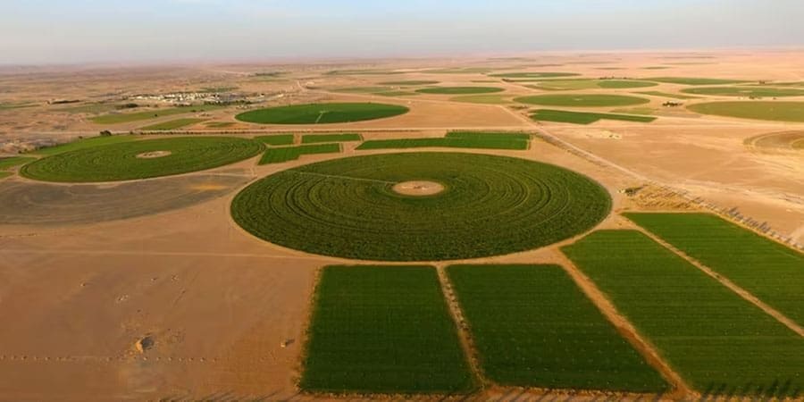تعبيرية