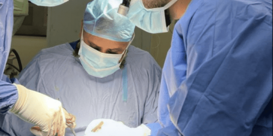 محافظة شمال الباطنة