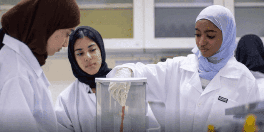 البرنامج الصيفي