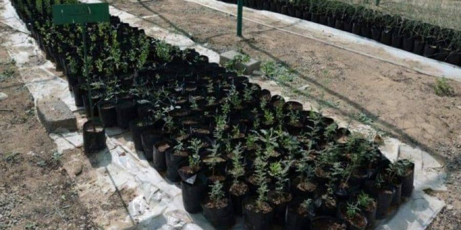 باليوم العالمي لمكافحة التصحّر والجفاف