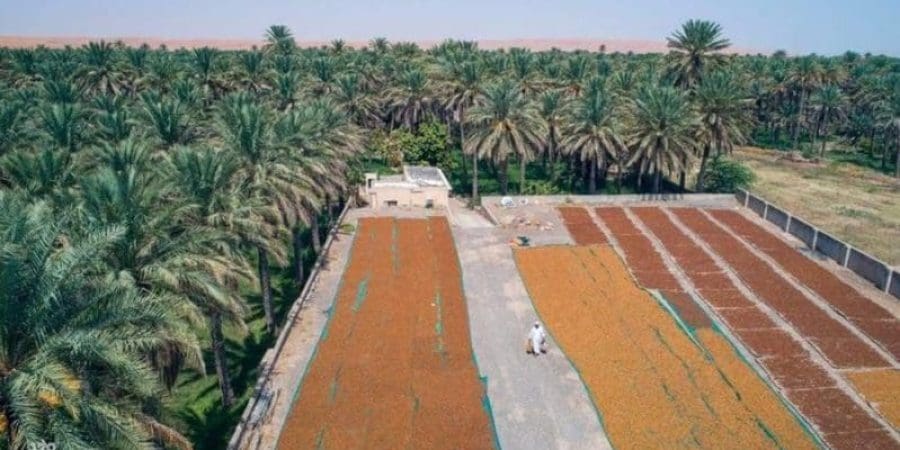 تعبيرية