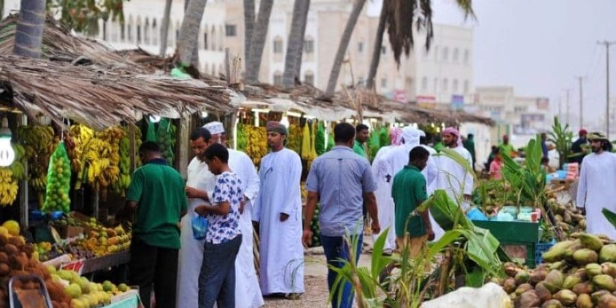 موسم الخريف2024