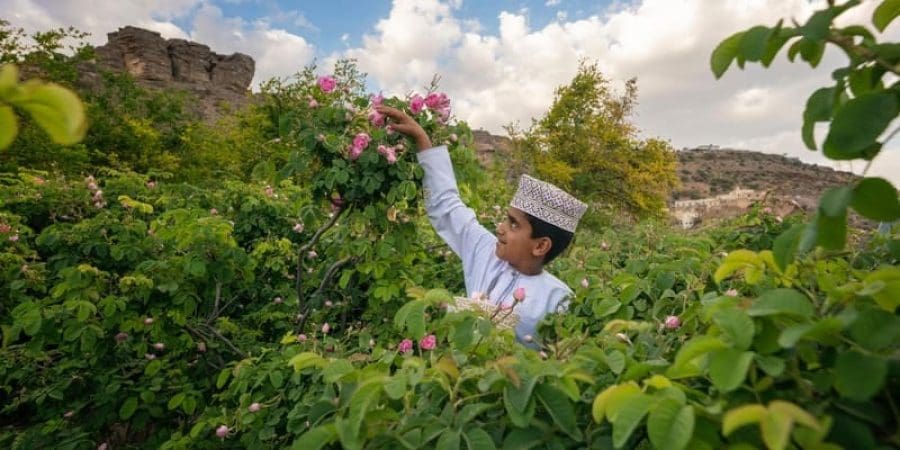 فعالية "ربيع الجبل"