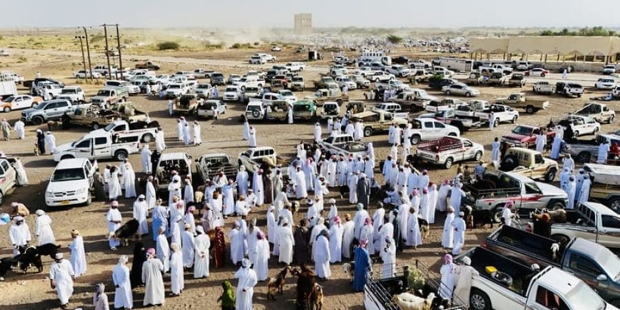 "هبطات" عيد الأضحى