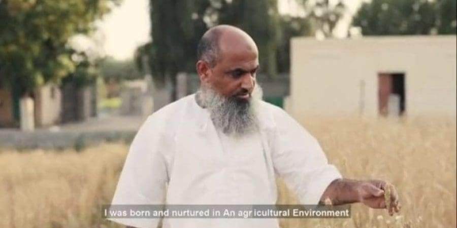 الفيلم الوثائقي "الزيج"